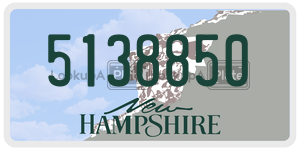 5138850 license plate in New Hampshire