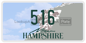 516 license plate in New Hampshire