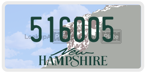 516005  license plate in NH
