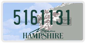 5161131 license plate in New Hampshire