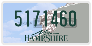 5171460  license plate in NH