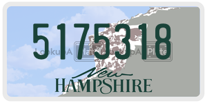 5175318  license plate in NH