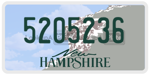 5205236  license plate in NH