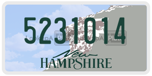 5231014  license plate in NH