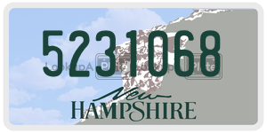 5231068  license plate in NH