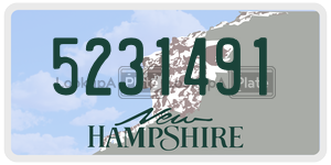 5231491  license plate in NH