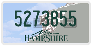 5273855 license plate in New Hampshire