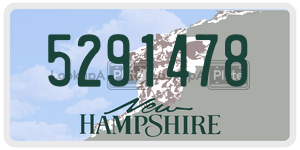 5291478  license plate in NH