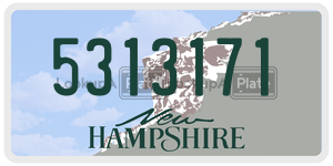 5313171  license plate in NH