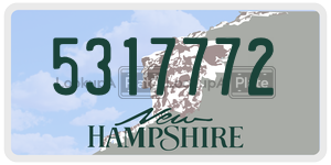 5317772  license plate in NH