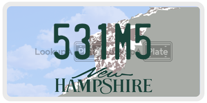 531M5  license plate in NH
