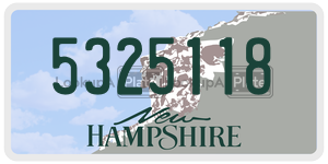 5325118  license plate in NH