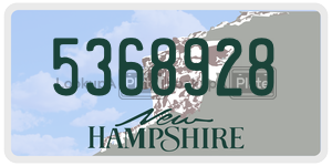 5368928  license plate in NH