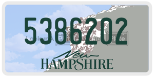 5386202  license plate in NH