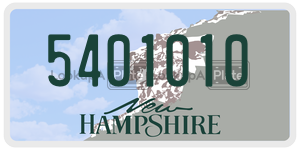5401010  license plate in NH