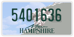 5401636  license plate in NH