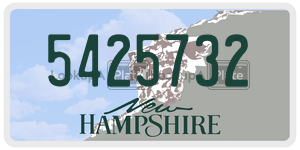 5425732  license plate in NH