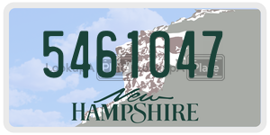 5461047  license plate in NH