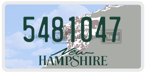 5481047  license plate in NH