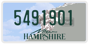 5491901  license plate in NH