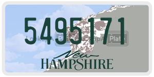 5495171  license plate in NH