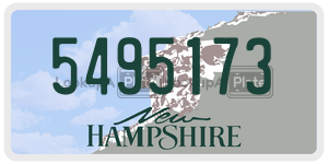 5495173  license plate in NH