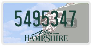 5495347  license plate in NH