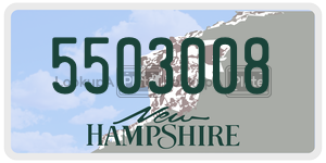 5503008  license plate in NH