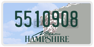 5510908  license plate in NH