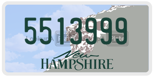 5513999  license plate in NH