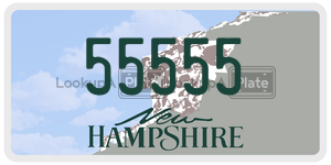 55555  license plate in NH