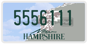 5556111  license plate in NH