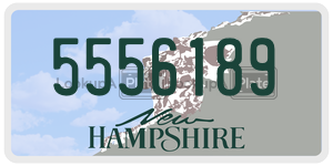5556189 license plate in New Hampshire