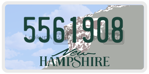 5561908  license plate in NH
