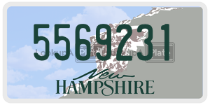 5569231 license plate in New Hampshire