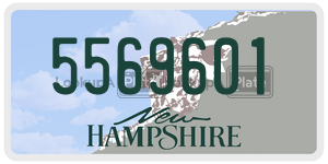 5569601  license plate in NH