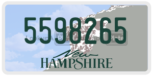 5598265 license plate in New Hampshire