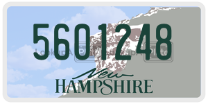 5601248  license plate in NH