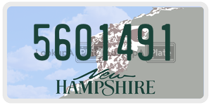 5601491  license plate in NH