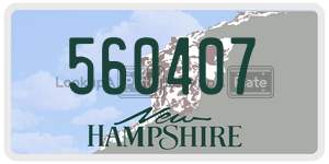 560407  license plate in NH
