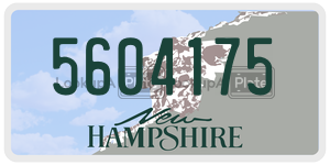5604175  license plate in NH