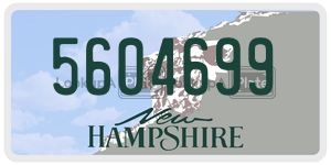 5604699  license plate in NH