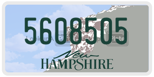 5608505  license plate in NH