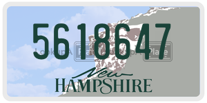 5618647  license plate in NH