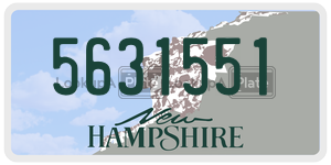 5631551  license plate in NH
