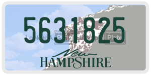 5631825  license plate in NH