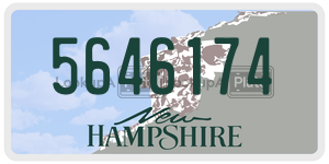 5646174  license plate in NH