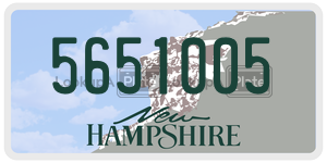 5651005  license plate in NH