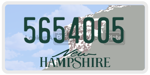 5654005  license plate in NH