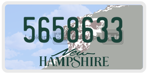 5658633  license plate in NH